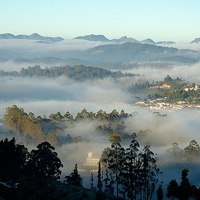 Ooty